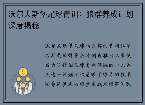 沃尔夫斯堡足球青训：狼群养成计划深度揭秘